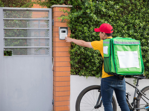 food delivery bag